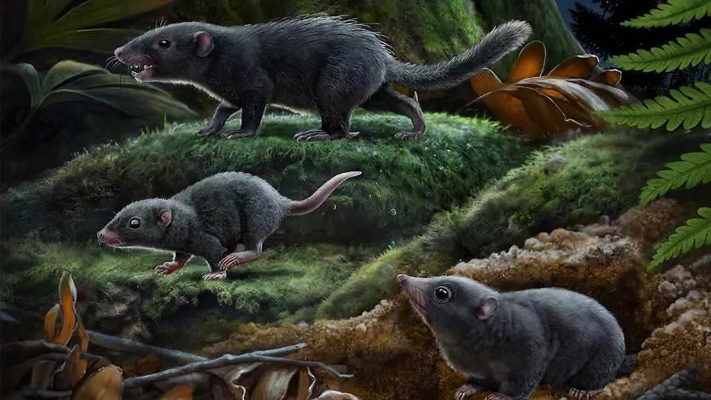 nicht-weiterverwenden