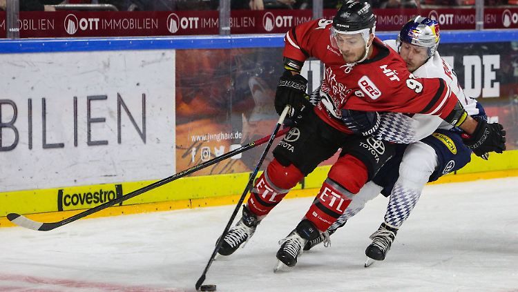 Moritz Müller verlässt seine Kölner Haie nur vorübergehend.