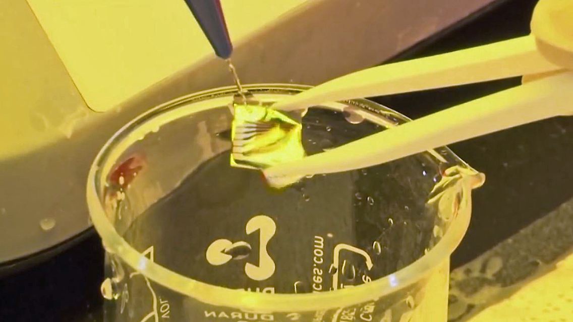 Mikrochip Corona.JPG