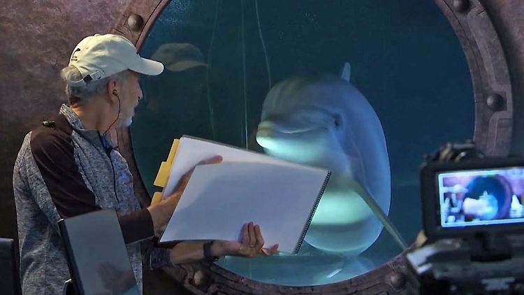Robo-Delfin.JPG