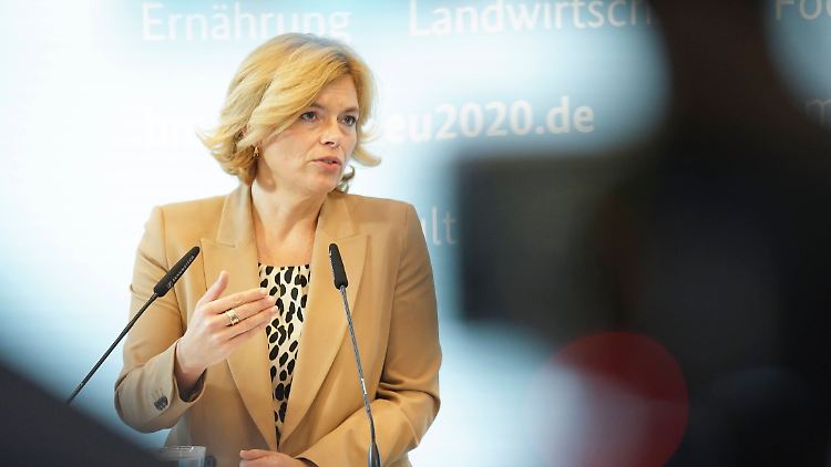Die Schweinepest sorgt für fallende Fleischpreise.