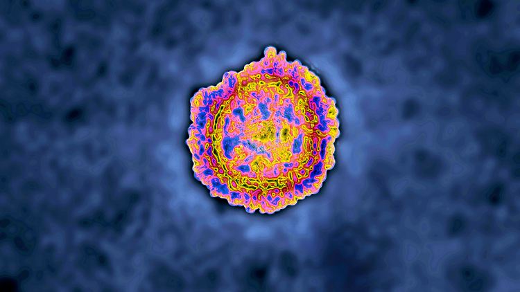 Die Überlebensdauer des Coronavirus ist stark von den Temperaturverhältnissen abhängig.