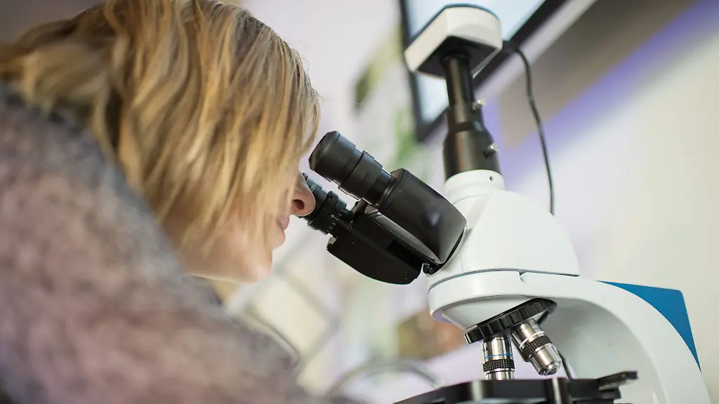 Frauen-sind-in-MINT-Berufen-immer-noch-deutlich-unterrepraesentiert