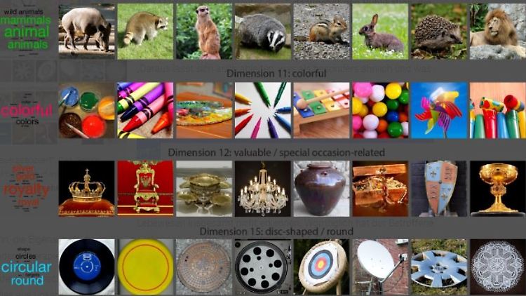 Der Bildausschnitt zeigt die Zuordnung der Bilder zu verschiedenen Kategorien. 