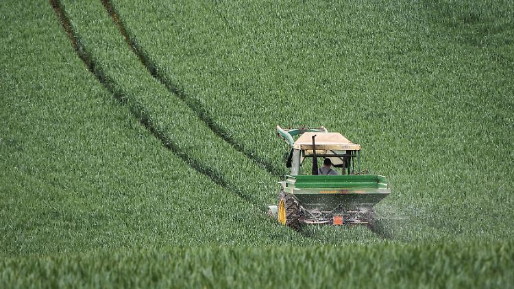Die Mitgliedsländer der EU haben festgelegt, in welche Richtung sich die Landwirtschaft in den kommenden Jahren bewegen soll.