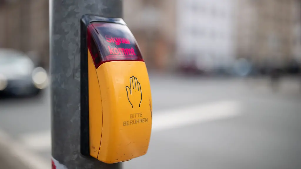 Die-Kinder-kreuzten-die-Strasse-obwohl-die-Ampel-rot-zeigte