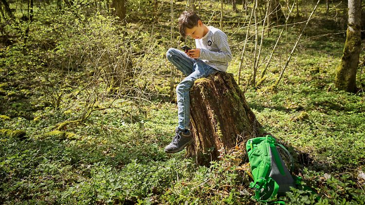 Hat den Baumstamm wahrscheinlich mit Google Maps gefunden: Digital Native.
