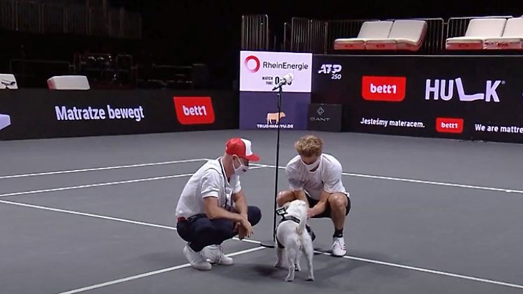 zverev-hund.jpg