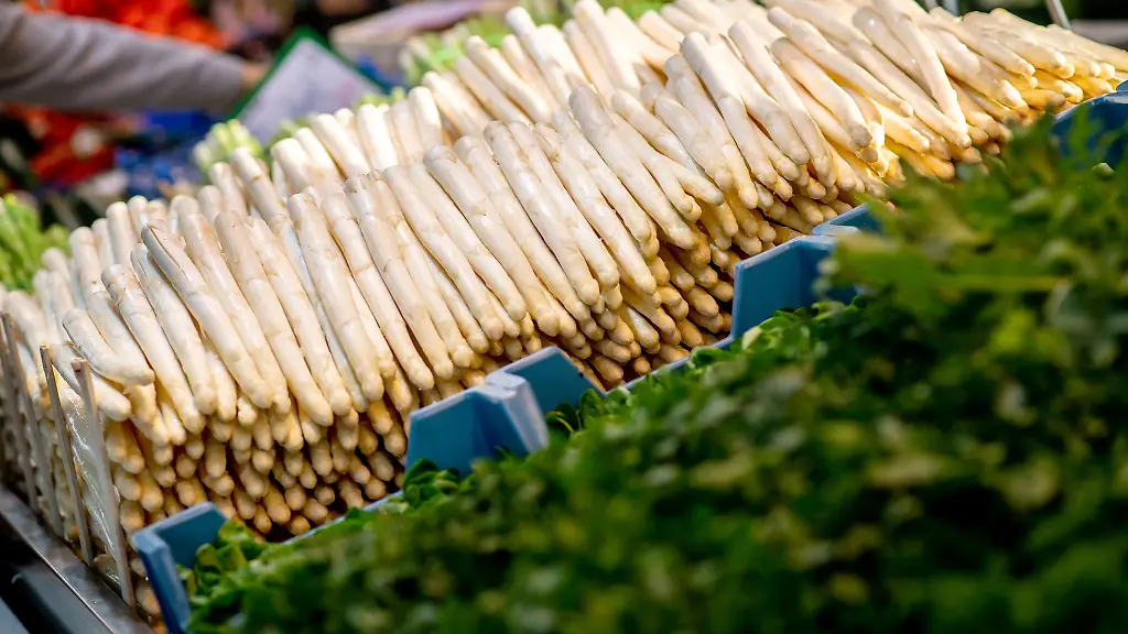 Die-Gemuese-Erntemengen-in-Niedersachsen-sind-im-vergangenen-Jahr-gewachsen-auch-wenn-der-Spargelanbau-wieder-leicht-schrumpfte