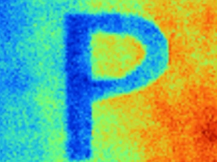 Das Infrarotbild zeigt, dass das mit der Strahlungskühlfarbe Purdue gemalte P viel kühler ist als der Hintergrund aus kommerzieller Farbe.