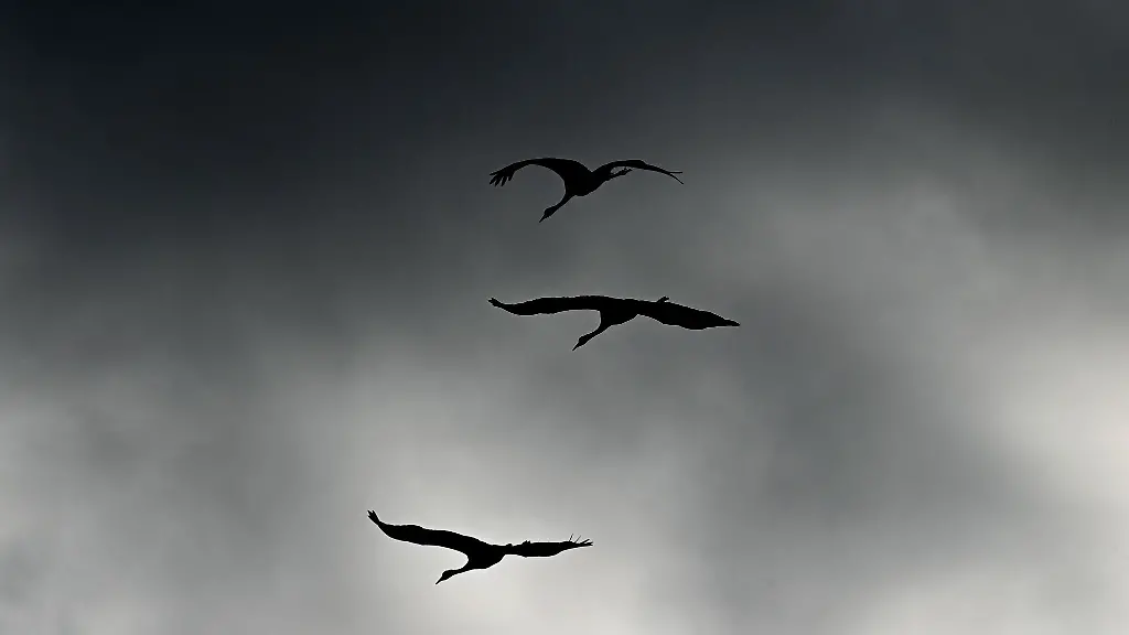 Ein-bedeckter-Himmel-gelegentlich-Regen-und-zum-Teil-dichter-Nebel-bestimmen-die-Wetteraussichten-der-naechsten-Tage
