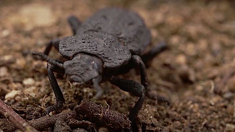 Bildschirmfoto 2020-10-23 um 14.00.33.png