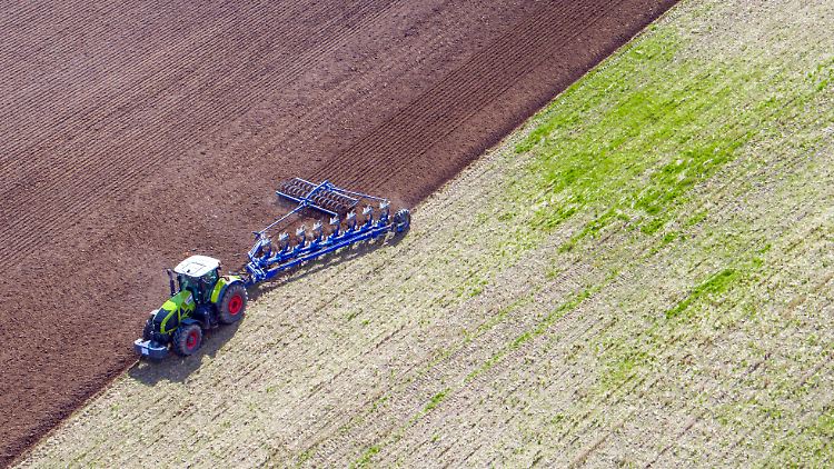 Die Subventionen für die Agrarindustrie sind der größte Posten im EU-Budget. 