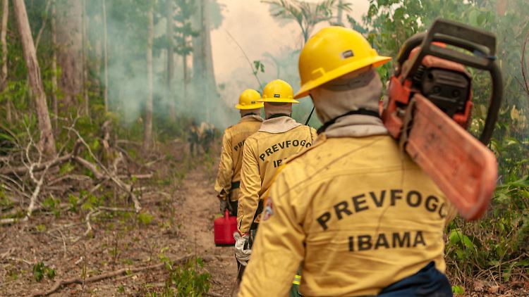 Das Ibama entsendet wieder Feuerwehrleute (hier ein Bild aus dem vergangenen Jahr) in die Brandgebiete.