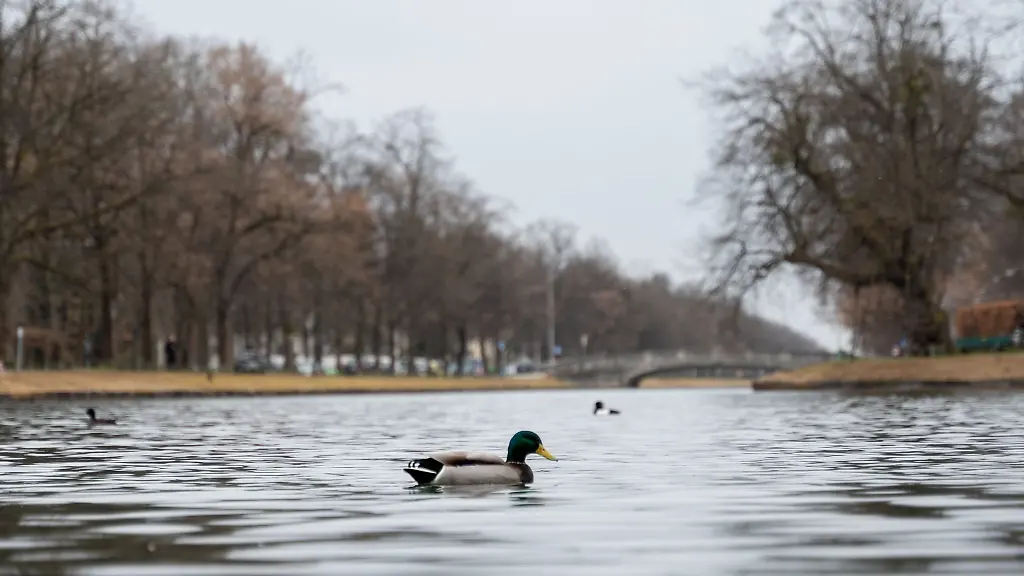 In-Bayern-muessen-sich-die-Menschen-in-den-naechsten-Tagen-auf-durchwachsenes-Wetter-einstellen
