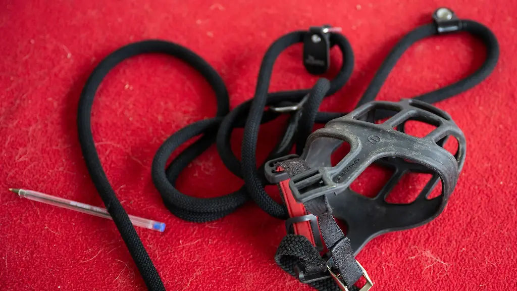 Nach-dem-Angriff-auf-ein-spielendes-Maedchen-muss-ein-Hund-in-Oehringen-an-die-Leine-genommen-werden-und-einen-Maulkorb-tragen