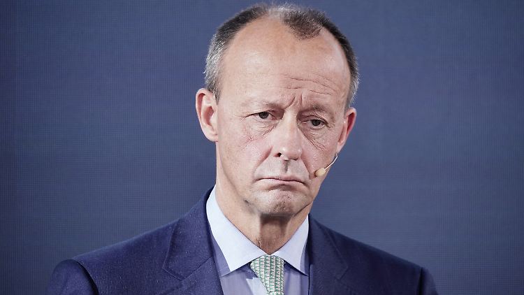 Friedrich Merz hielt Teilen des "Parteiestablishments" vor, ihn als CDU-Chef verhindern zu wollen.
