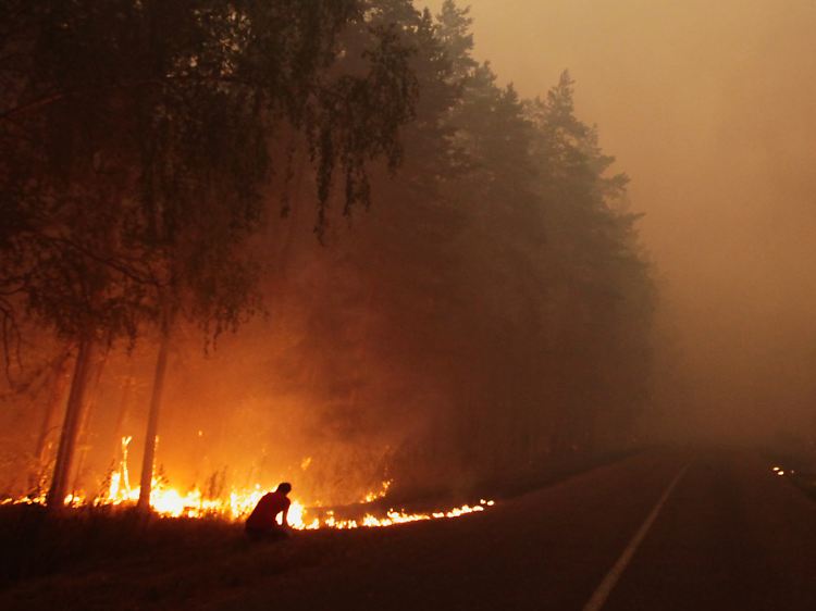 Rekordhitze und Waldbrände forderten in Russland viele Menschenleben.