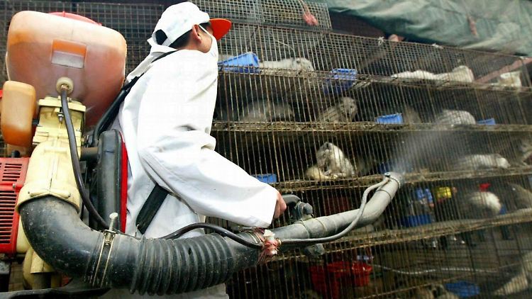 Auf einem Wildtiermarkt in China werden Käfige desinfiziert (Archivbild aus dem Jahr 2004).
