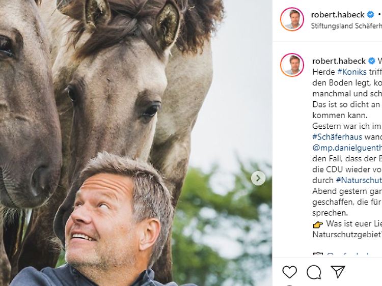 Ja das sind Bibi und Tina/ auf Amadeus und Sabrina/ sie reiten geschwind/ weil sie Freu-heun-de sind!