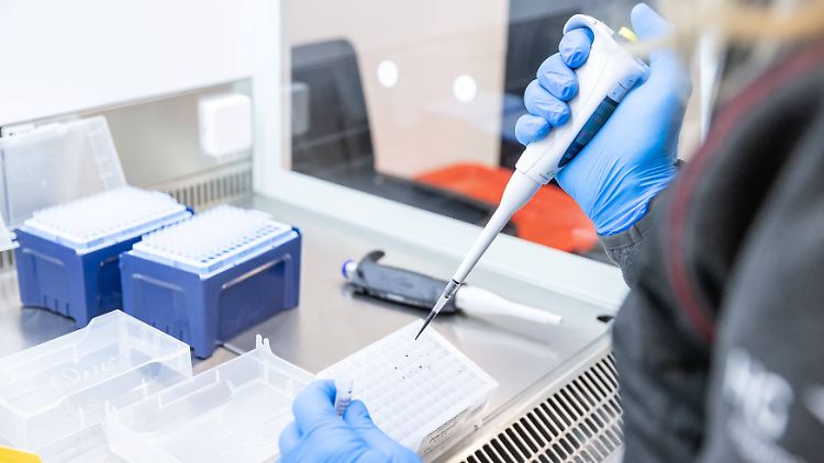 Fast 1,4 Millionen Corona-Tests haben deutsche Labors in der vergangenen Woche durchgeführt.