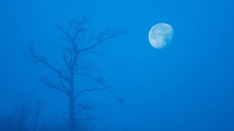 Zu "blau" und zu wenig voll: Das ist kein blue moon.