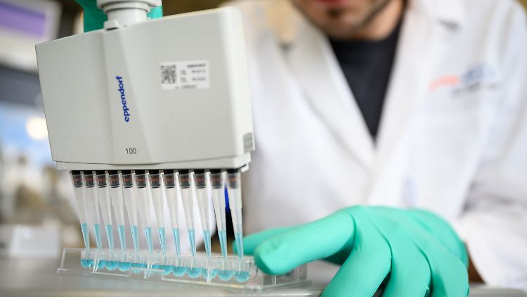 An der Phase-1-Studie nahmen mehr als 250 Personen teil.