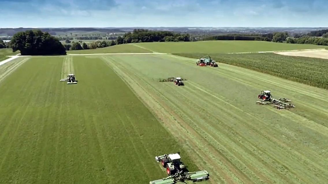 feld-wirtschaft-wahl.jpg