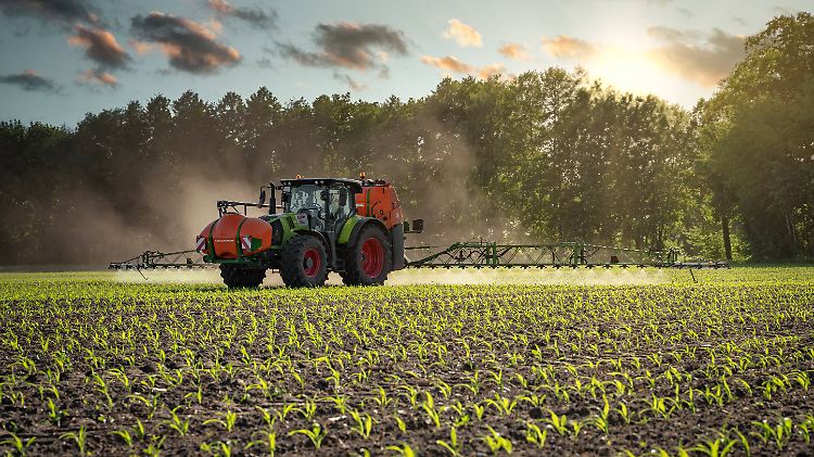 Bayer erlöst im Sommer weniger und verdient nichts.
