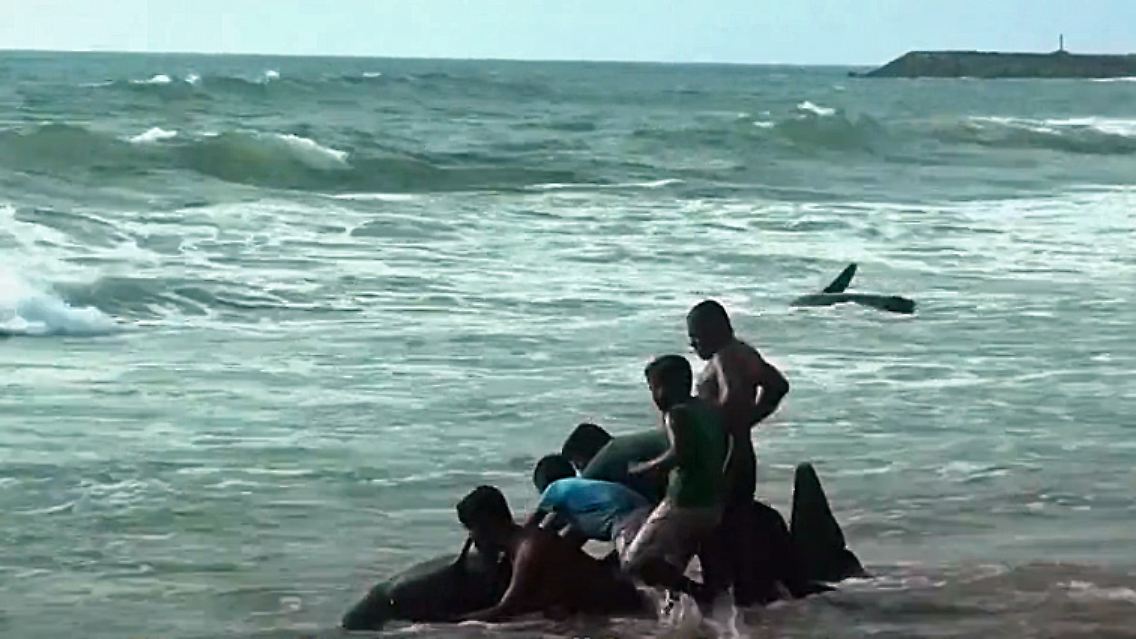 sri lankas größte strandung.jpg