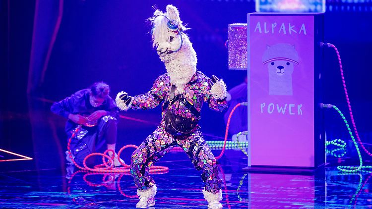 Wer verbarg sich wohl die ganze Zeit unter dem Alpaka-Kostüm? 