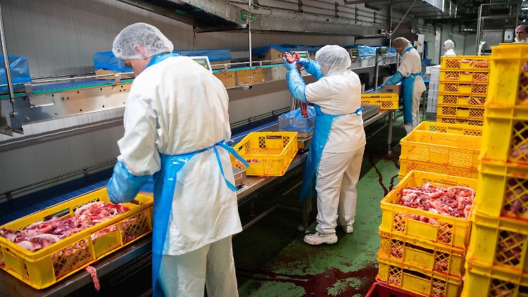 Im Zuge der Pandemie sind die Arbeitsbedingungen in der Fleischbranche massiv in die Kritik geraten.