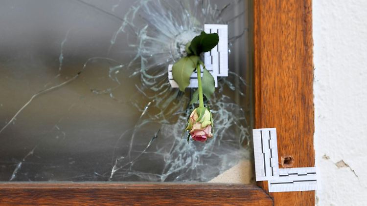Eine Rose steckt in einem Einschussloch im Bereich des Tatorts des Terroranschlags in Wien.