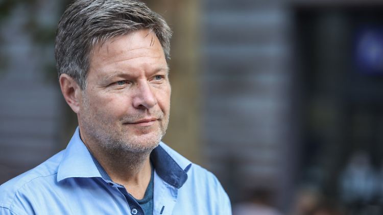 Grünen-Chef Robert Habeck plädiert für Abschiebungen - sofern die Voraussetzungen diese erlauben. 