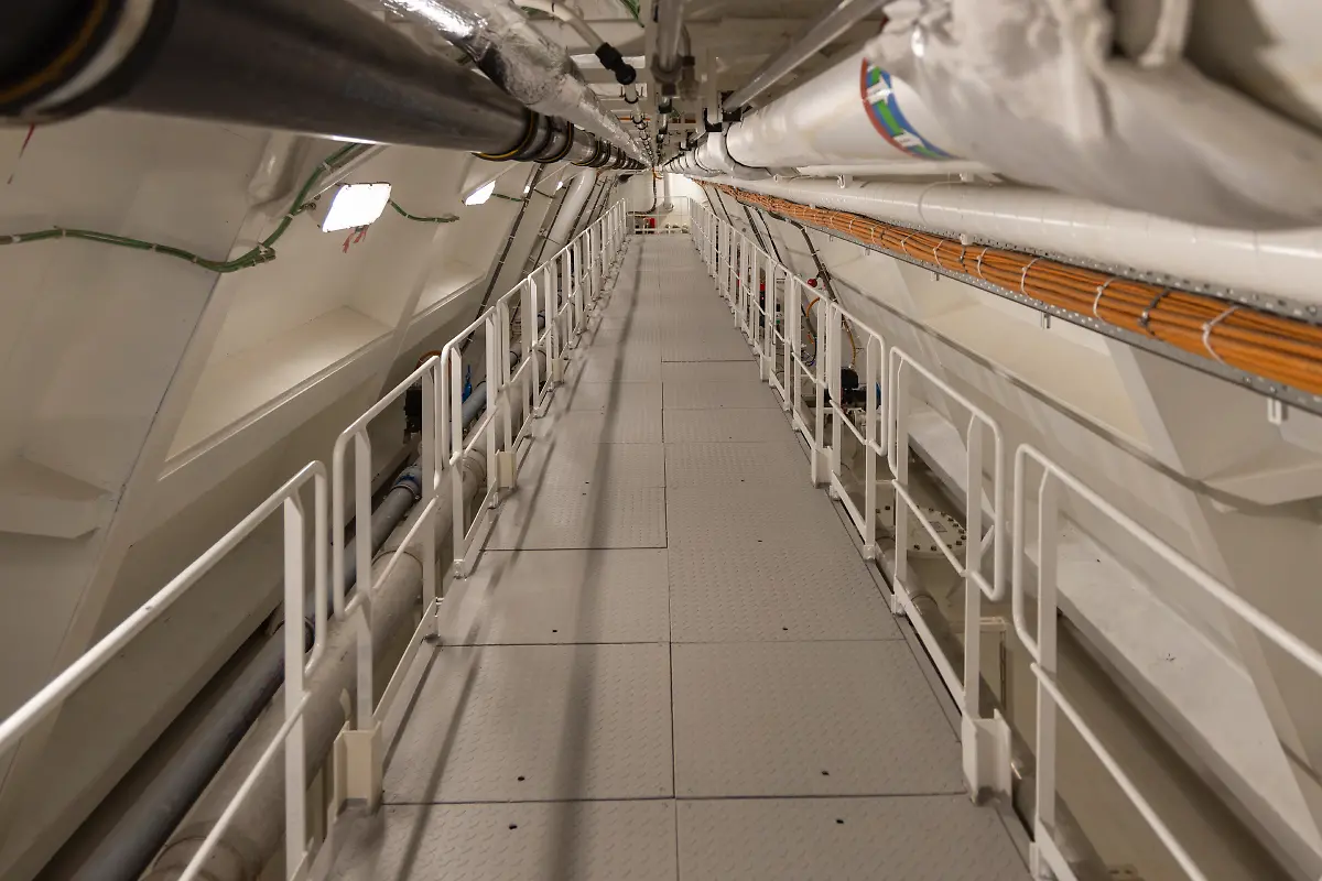 Bild-55-von-60-2025-02-26-024