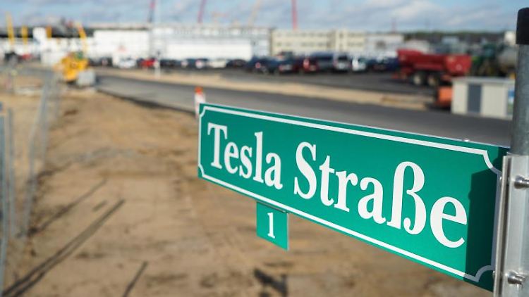 Der Bau des Tesla-Werks in Grünheide ist Naturschützern ein Dorn im Auge.