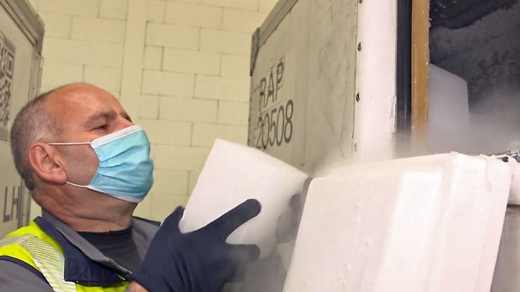 Corona Impfstoff Logistik.JPG