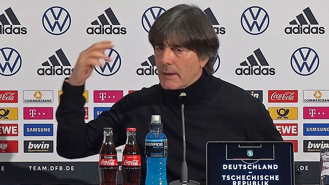 Löwschimpft.jpg