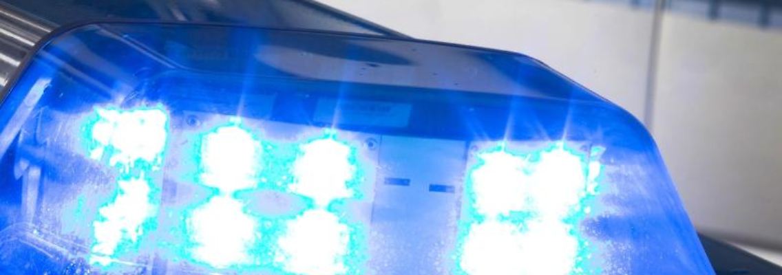Ein Blaulicht leuchtet auf dem Dach eines Polizeiwagens. Foto: Friso Gentsch/dpa/Symbolbild