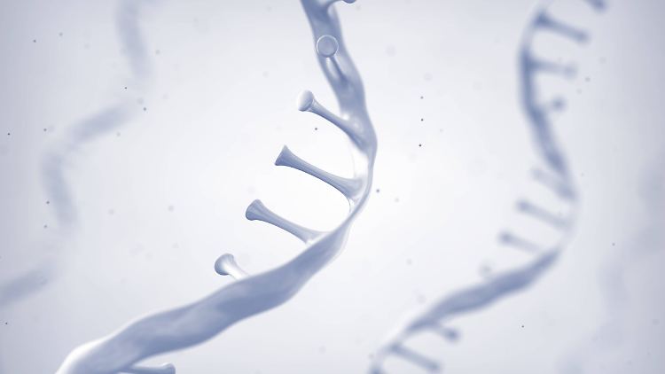 Sie ist das Geheimnis des Biontech-Impfstoffs: Boten-RNA, die Erbinformationen von Sars-Cov-2 speichert.