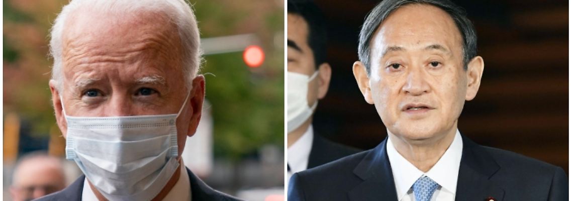 collagebidensuga.jpg