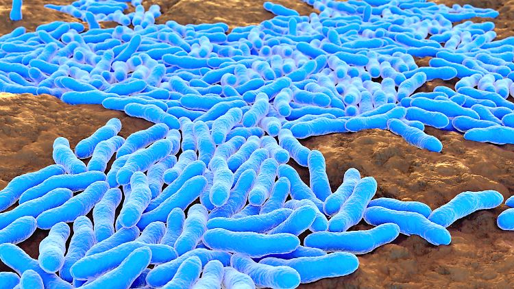 Allein in der EU sterben jährlich mehr als 33.000 Menschen an einer bakteriellen Infektion, gegen die keine Antibiotika mehr helfen.