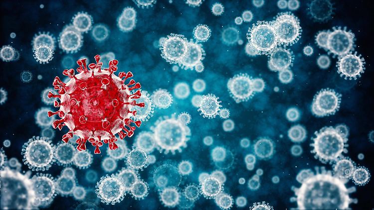 Sars-CoV-2 löst offenbar eine breite Immunreaktion aus - welche den Körper dauerhaft schützen könnte.