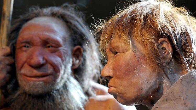 Nachbildungen von Neandertalern im Neanderthal Museum in Mettmann.