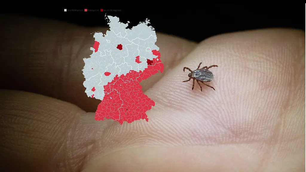 Das-Robert-Koch-Institut-hat-drei-neue-Landkreise-zu-seiner-Liste-der-FSME-Risikogebiete-hinzugefuegt