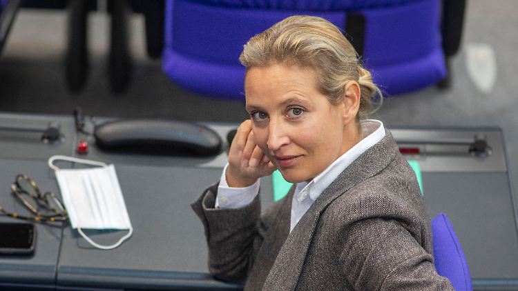 Teure Spendenpraxis: Alice Weidel am Mittwoch im Bundestag. 