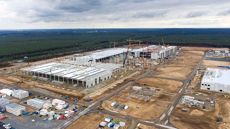 Tesla wird nach Ansicht von Experten ein Wachstumsmotor für die ganze Region.