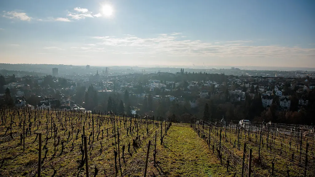 Die-Sonne-schien-in-diesem-Winter-in-Hessen-oefter