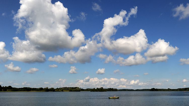 Niedrige Fallzahlen in Schleswig-Holstein und Mecklenburg-Vorpommern: "Bisher einfach wahnsinnig Glück gehabt."