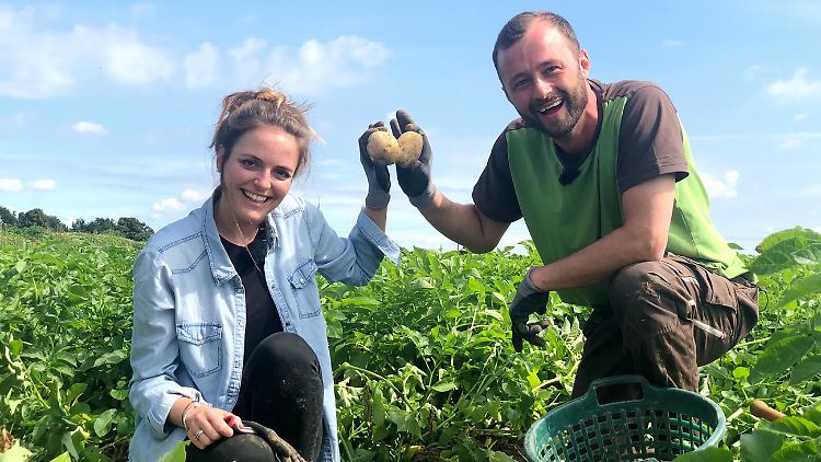 Wenn das mal kein Zeichen ist: Kartoffelbauer Peter und seine Alina   finden einen Erdapfel in Herzform.